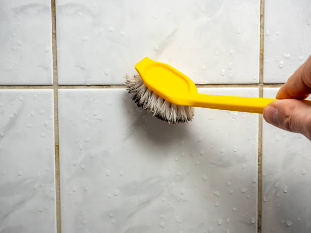 Best Best Mold Removal Companies  in Isle Of Palms, SC