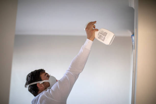 Best Mold Damage Repair  in Isle Of Palms, SC