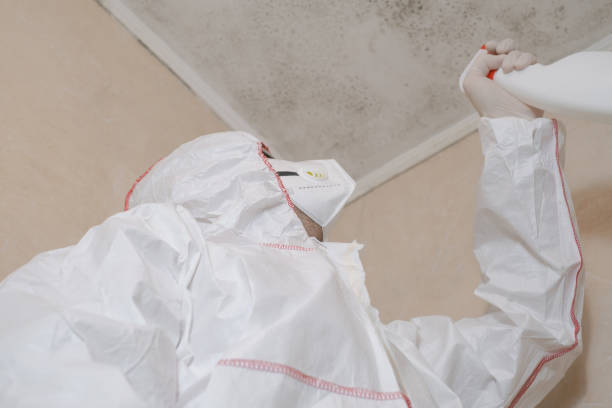 Certified Mold Removal in Isle Of Palms, SC